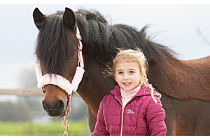 Alles wat je moet hebben voor je eerste eigen paard!