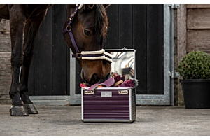 Wat heb je allemaal nodig in jouw groomingbox voor je paard?