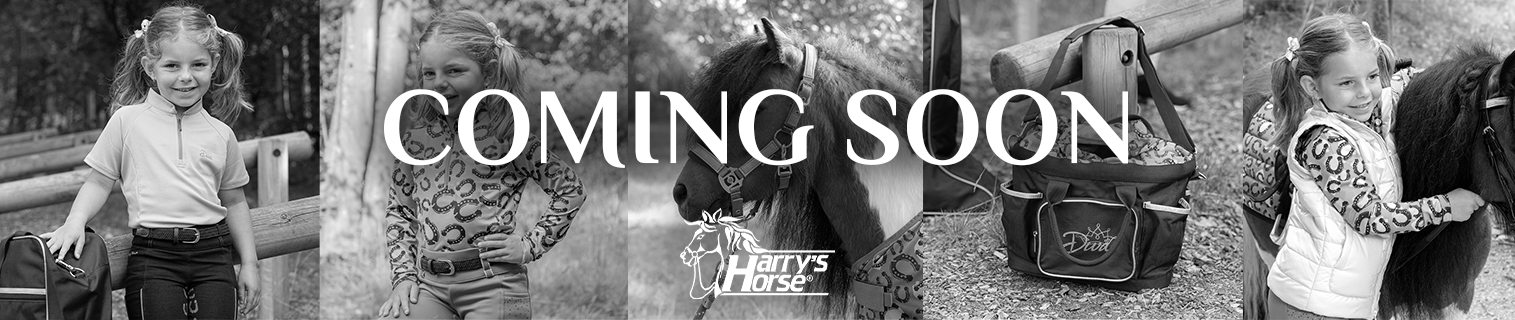 Harry's Horse Diva Mauvewood 2026