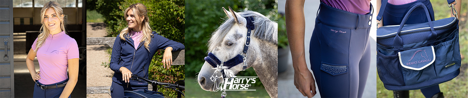 Harry's Horse Denici Cavalli Purple Passion 2026