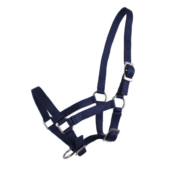 Halster veulen QHP Donkerblauw 04