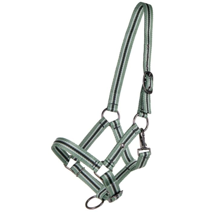 Halster jaarling QHP Meadow Jaarling Halster jaarling QHP Meadow Jaarling