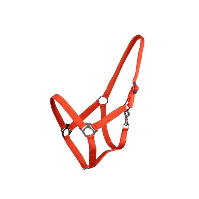 Halster schuif QHP Oranje Shet Halster schuif QHP Oranje Shet