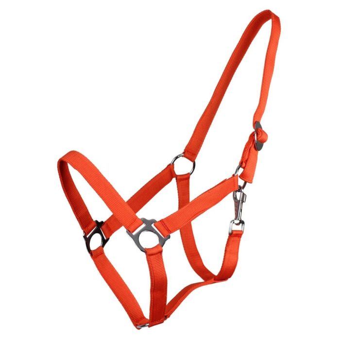 Halster QHP Schuif oranje Full