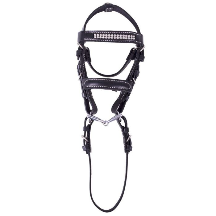 Hoofdstel QHP Mini Madelon zwart