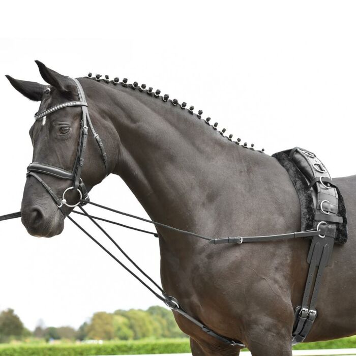 Dreieckzügel Busse Basic-Kordel Black Pony Dreieckzügel Busse Basic-Kordel Black Pony