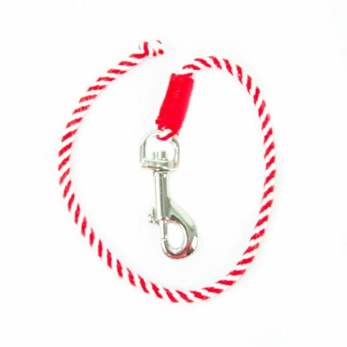 Halstertouw Crafty Ponies Rood Halstertouw Crafty Ponies Rood