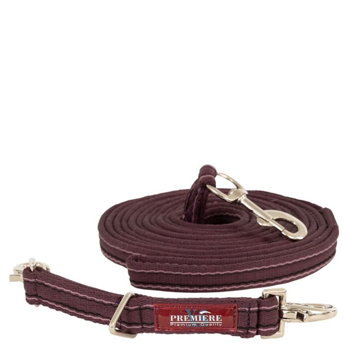 Longeerset Premiere XS Hortentia