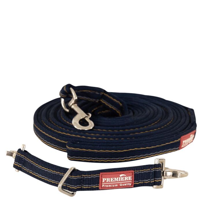 Longeerset Premiere Ocean Cavern 