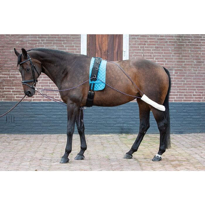 Longeerhulpteugel Harry's Horse Pony