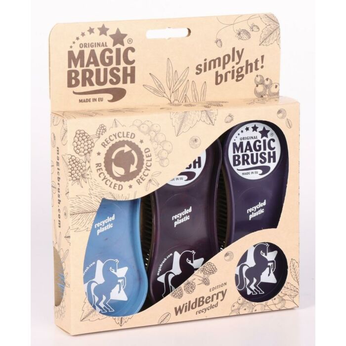 Magic Brush Harry's Horse Wildberry
