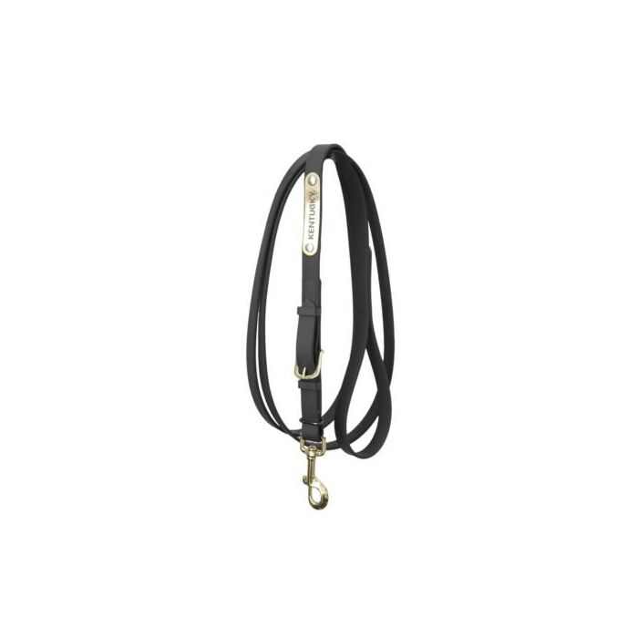 Presentatielijn Kentucky zwart 2 Meter Presentatielijn Kentucky zwart 2 Meter