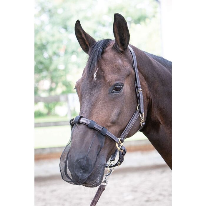 Neus netje Harry's Horse Zwart Full