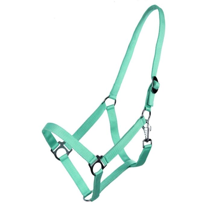 Halster schuif QHP Turquoise Shet Halster schuif QHP Turquoise Shet