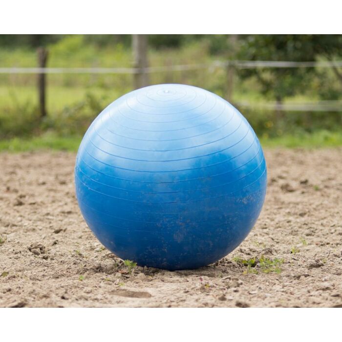Paardenvoetbal QHP Blue 80-100 cm