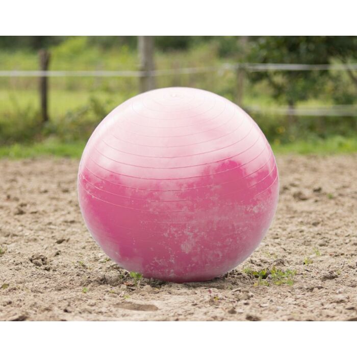 Paardenvoetbal QHP Pink 80-100 cm