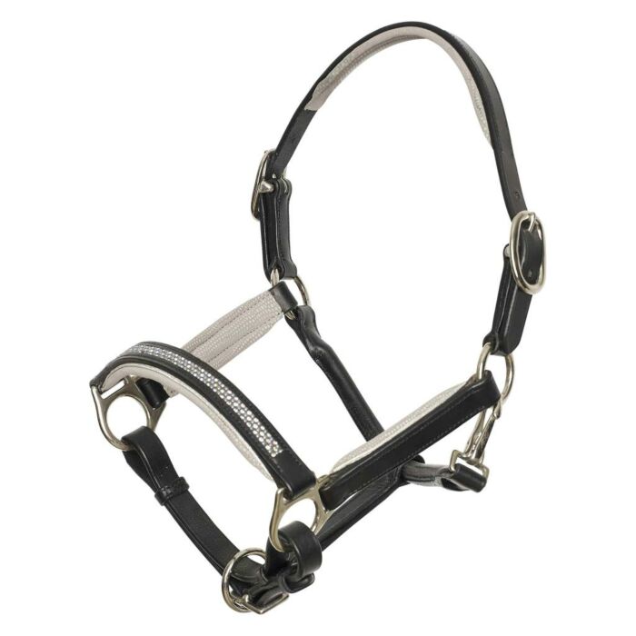 Halster Imperial Riding Rainbow Latte Shetland