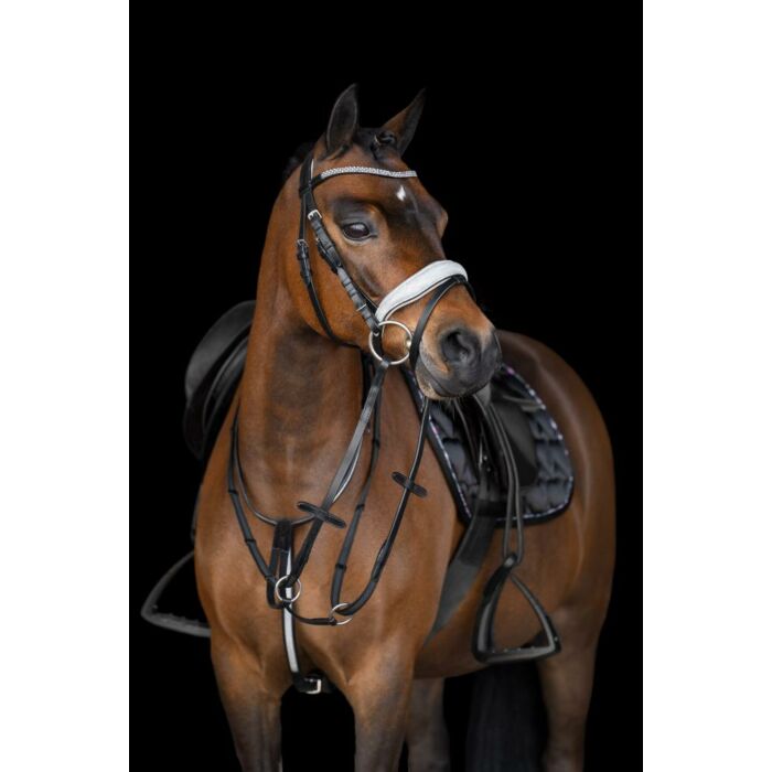 Martingaal Imperial Riding Rainbow Latte Shetland