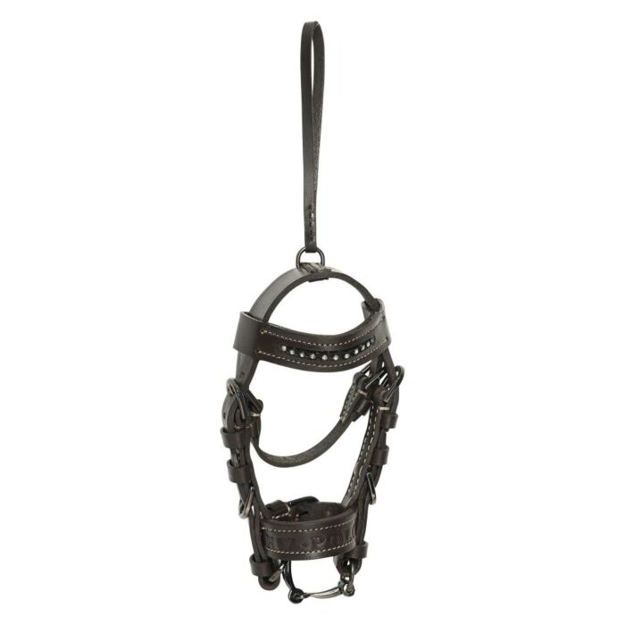 Hoofdstelhanger HV Polo Legacy Wood