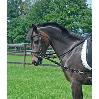 Bijzetteugels Busse Basic zwart Pony