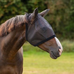 Vliegenmasker QHP met oren Zwart Mini Shetland
