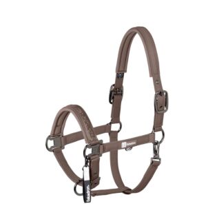 Halster Eskadron Dynamic Sparkle Jewel Double Pin Powdertaupe