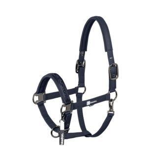 Halster Eskadron Dynamic Sparkle Jewel Double Pin Navy