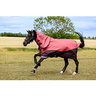 Turnoutdeken LeMieux Arika Ripstop 200g Cranberry