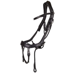 Bitloos Hoofdstel PresTeq FaySport Black 