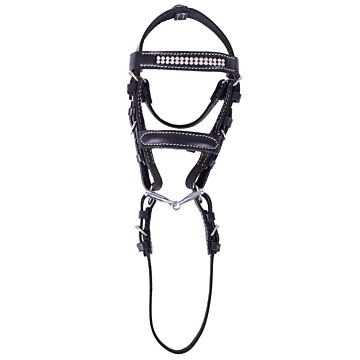 Hoofdstel QHP Mini Madelon zwart