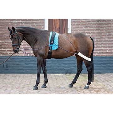 Longeerhulpteugel Harry's Horse Pony