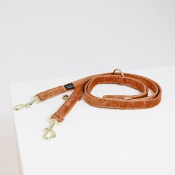 Hondenriem Kentucky Velvet oranje 2 Meter