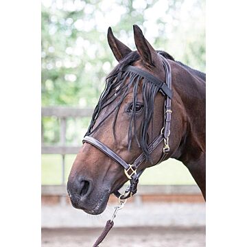Vliegenfrontriem Harry's Horse Zwart Full