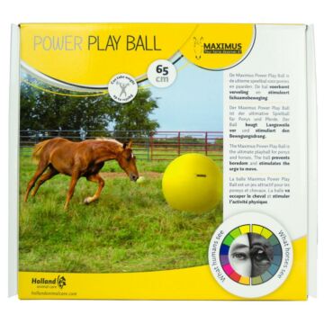 Maximus Power Play Ball 75cm