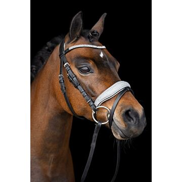Hoofdstel Imperial Riding Rainbow Latte Shetland