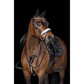 Martingaal Imperial Riding Rainbow Latte Shetland