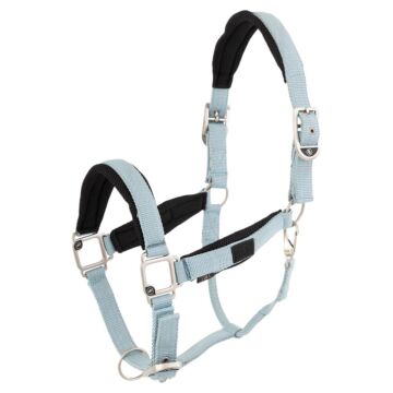 Halster BR Kris Mesh Tourmaline Pony
