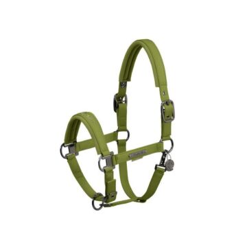 Halster Eskadron Platinum Double Pin Faux Leather Moss Green