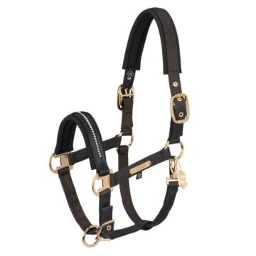 Halster Eskadron Heritage Glam Crystal Double Pin Black