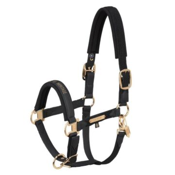 Halster Eskadron Heritage Faux Leather Plait DP Black