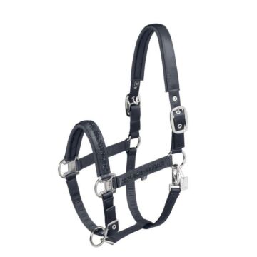 Halster Eskadron Mattgloss Jewel Double Pin Navy
