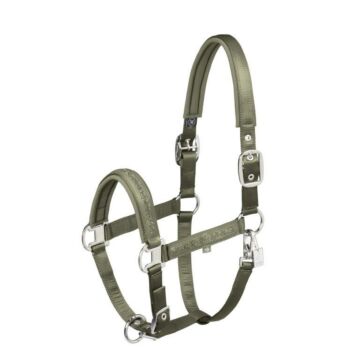 Halster Eskadron Mattgloss Jewel Double Pin Dusty olive
