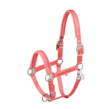 Halster Eskadron Mattgloss Jewel Double Pin Coral blossom