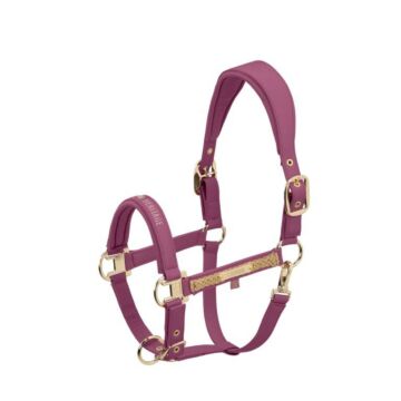 Halster Eskadron Heritage Faux Leather Double Pin Wildberry