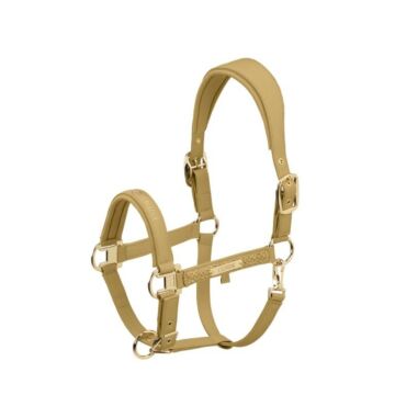 Halster Eskadron Heritage Faux Leather Double Pin Cardamom