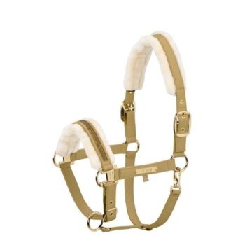 Halster Eskadron Heritage Faux Leather Jewel FF Double Pin Cardamom