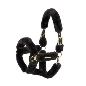 Halster Eskadron Heritage Girth FF Complete Black Truffle