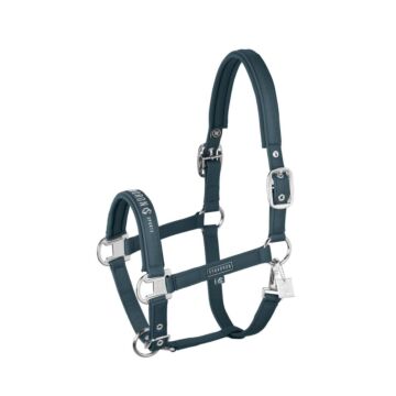 Halster Eskadron Sparkle Double Pin Ocean