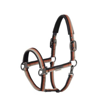 Halster Eskadron Platinum Girth Light Double Pin Black-Pale-Amber