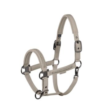 Halster Eskadron Platinum Faux Leather Jewel DP Pale Grey